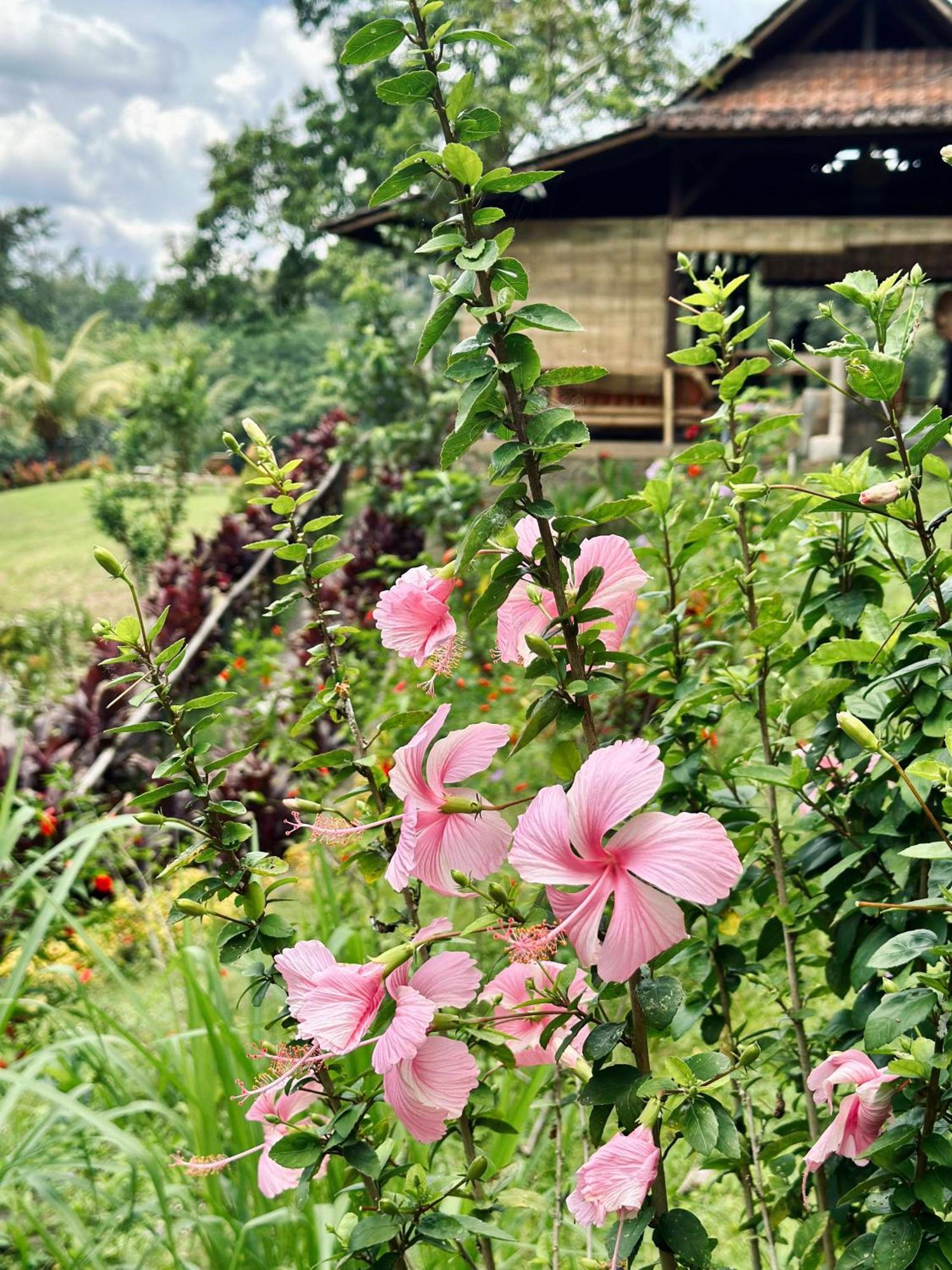 Sang Tirta Resort Penebel Eksteriør bilde